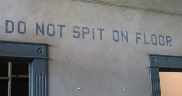 唾液的小用处,唾液的九大功能