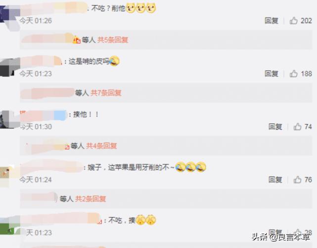 岳云鹏郑敏日常,郑敏去岳云鹏家吃苹果