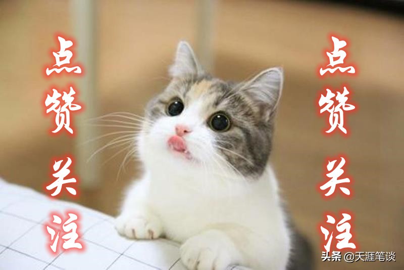 走进查济,查济古镇门票32元