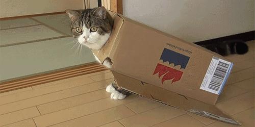 纸箱子不要丢简单改造下秒变收纳,旧纸箱如何收纳