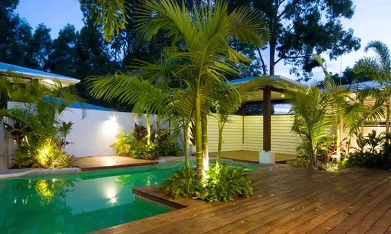 棕榈科植物的景观用途,观赏棕榈植物与景观