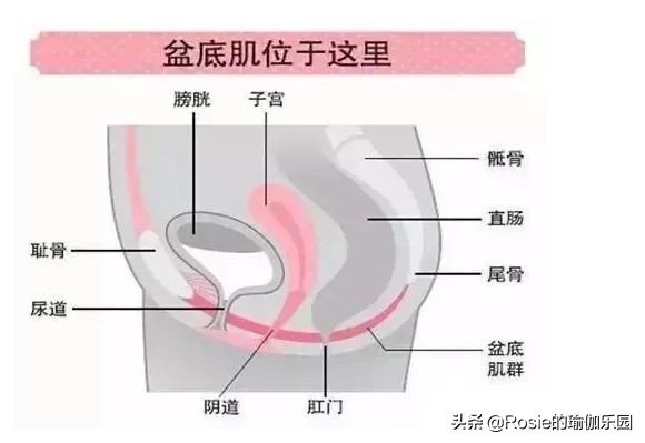 瑜伽漏尿最有效的恢复方法,治漏尿最快的瑜伽运动视频