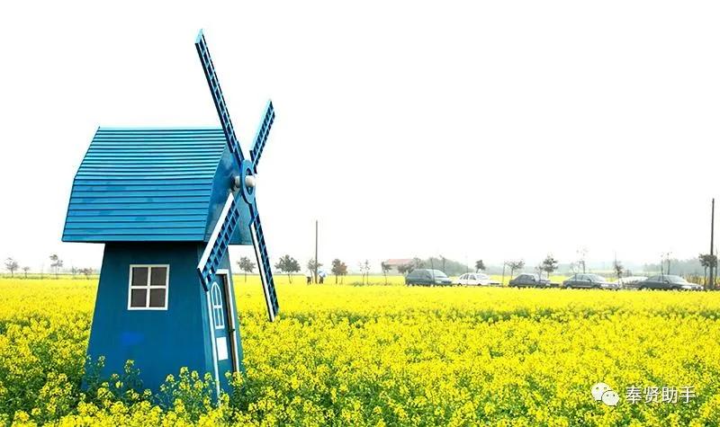 奉贤区南桥镇旅游景点,上海奉贤景点推荐一日游最佳路线