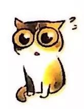 猫咪如何检测猫瘟,猫咪致死性疾病