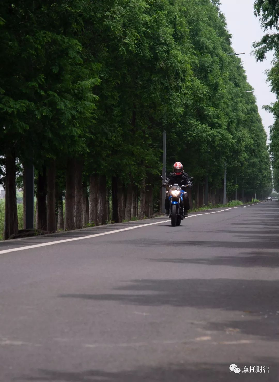 铃木155街车极客飒优缺点,铃木极客飒155nk和dl250加速