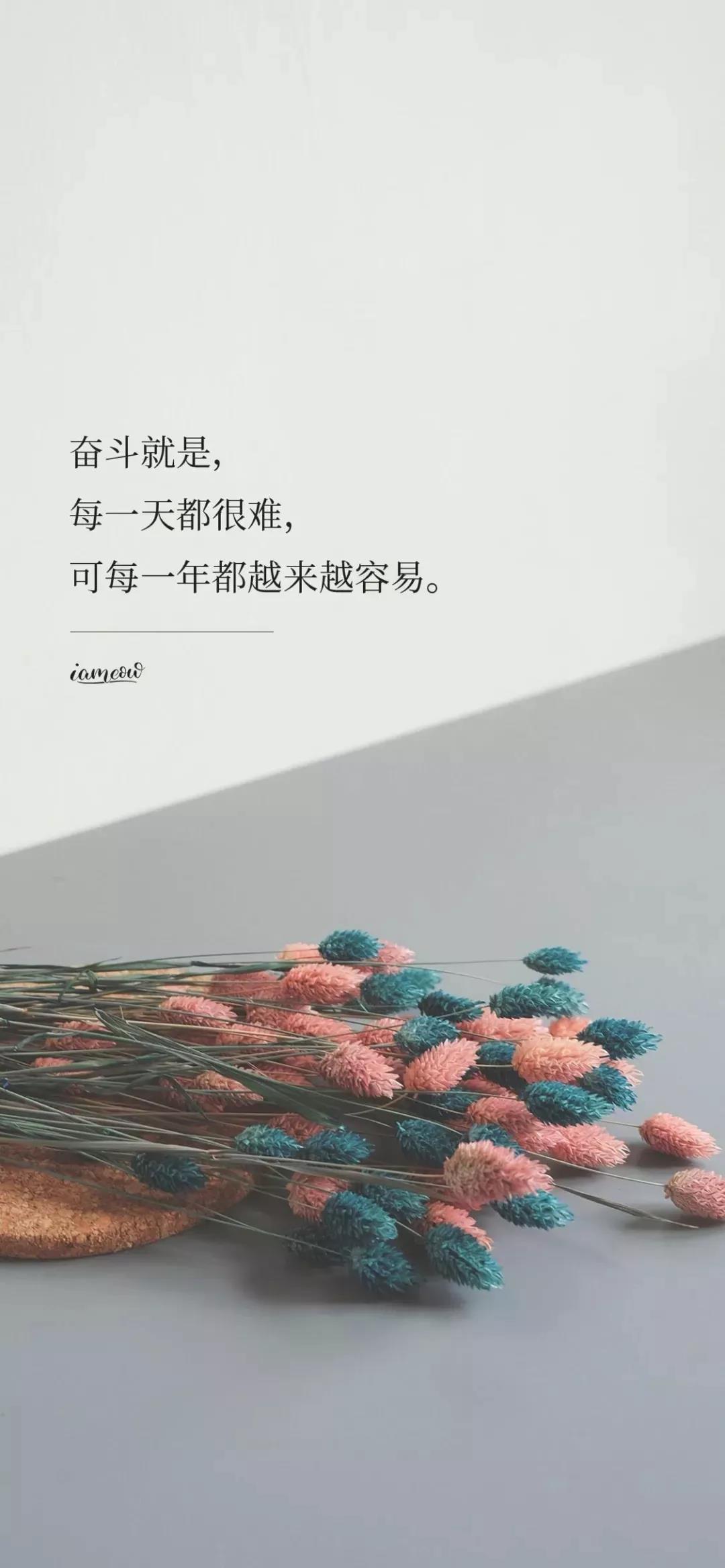 手机壁纸精选好看的养眼壁纸大图,平板壁纸9.7寸高清壁纸简约唯美