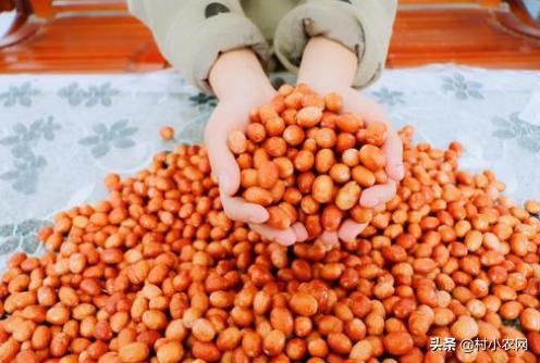 盐碱地种植什么品种树,70亩盐碱地适合种什么