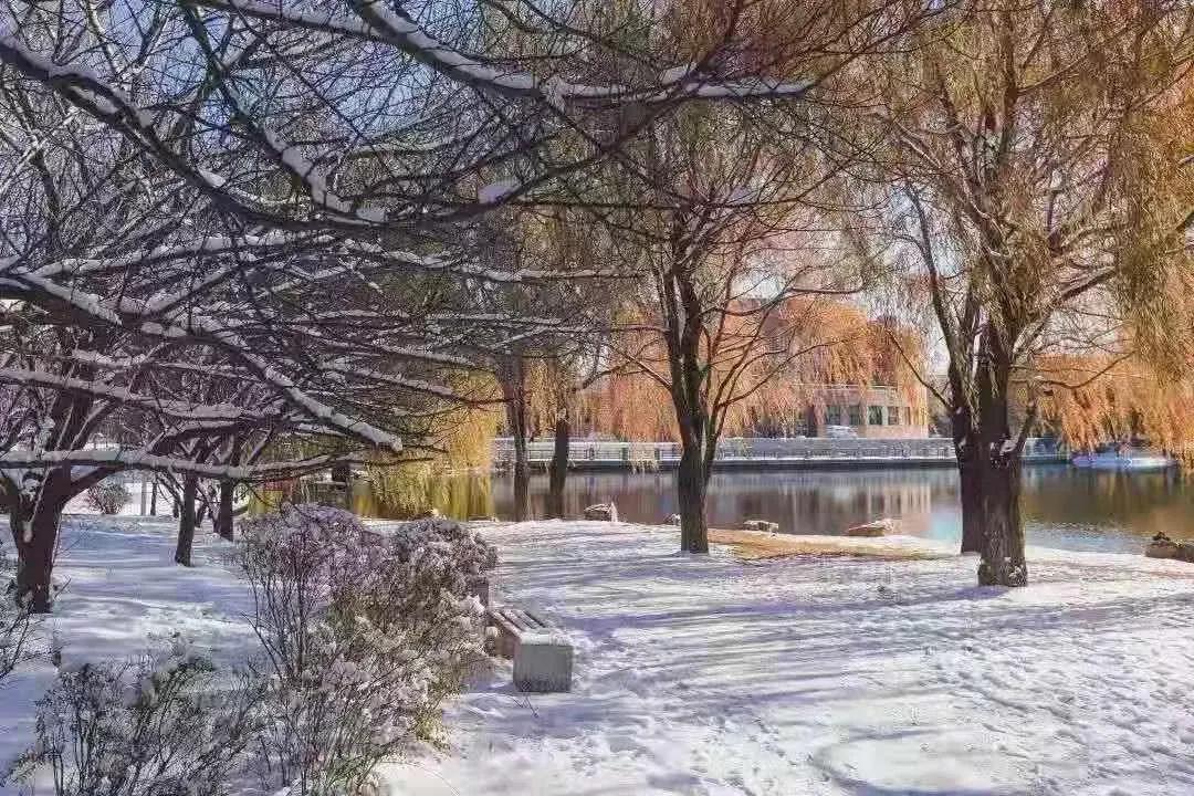 辽宁省高等院校分布图,辽宁省高考报考沈阳航空航天大学