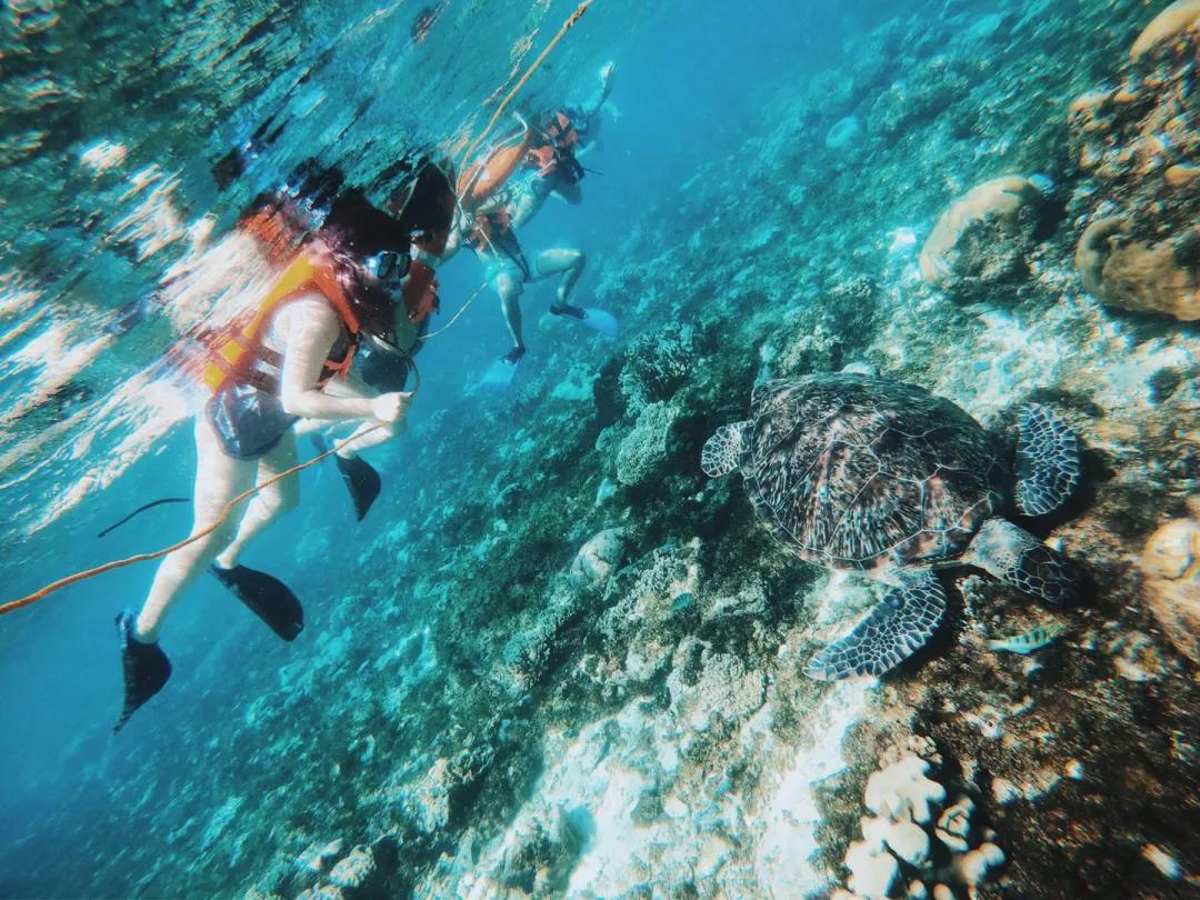 菲律宾自由潜水最好的地方,菲律宾旅游潜水