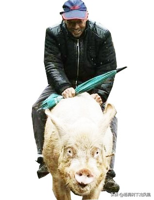 2019己亥年是怎么算的,己亥年和甲子年有什么问题吗