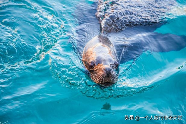 厦门海滨老城旅游,厦门最美海滨城