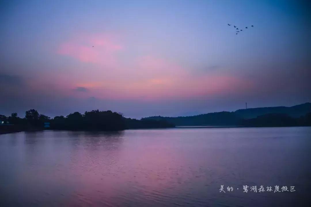 成都白鹭湖一日游详细攻略,白鹭湖一日游攻略图文