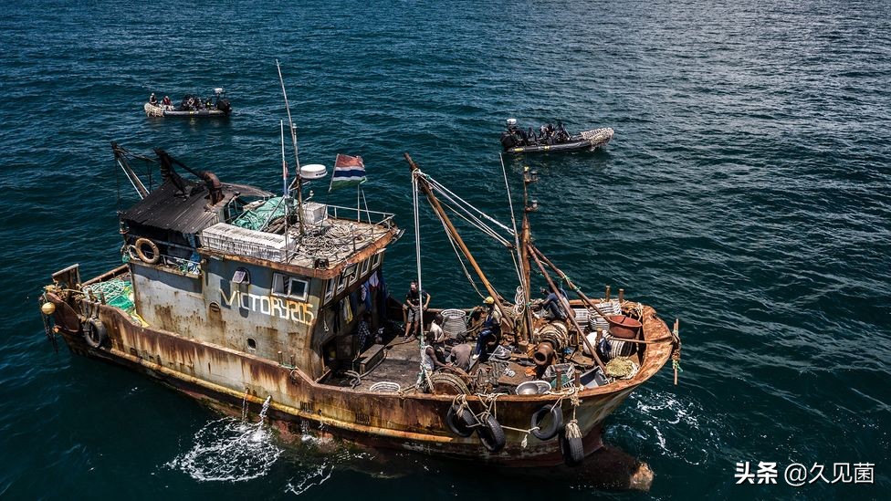 带鱼为什么会活不久呢图片,带鱼为什么出水就活不了