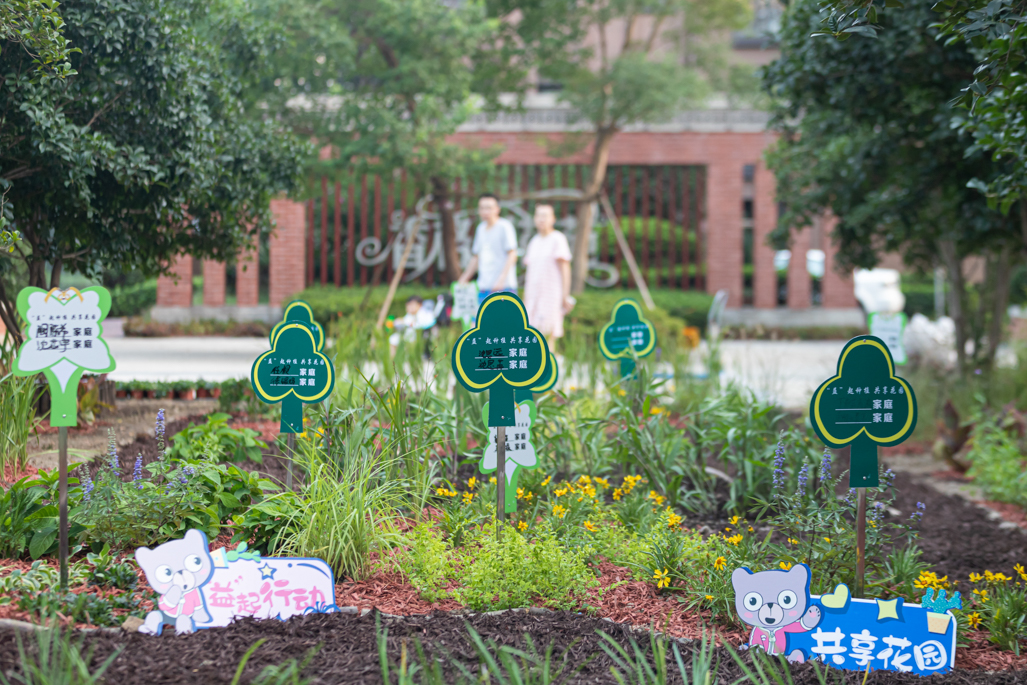 玛丽分享|香格里社区共享花园诞生记