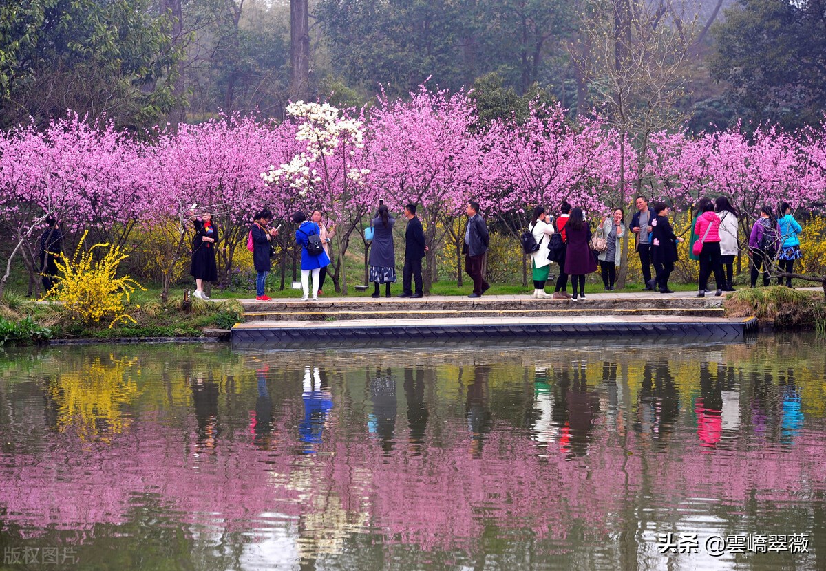 徜徉花海之中,徜徉花海芬芳馥郁