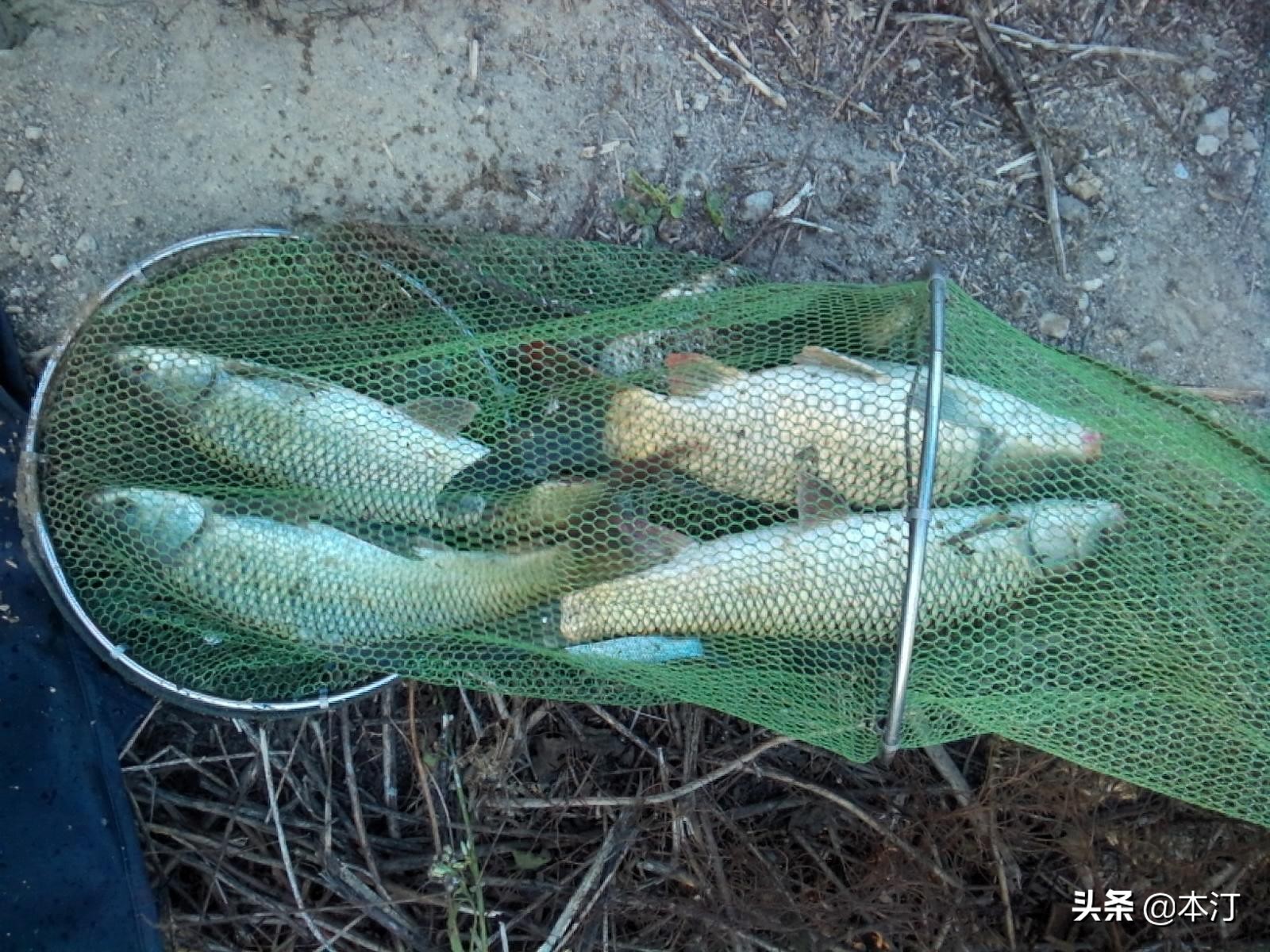 钓鱼怎么选择窝子,石窝钓鲤鱼钓法