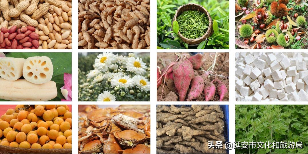 鏁伴娴佷汉鐗╃湅浠婃湞绱犳潗,鏁伴娴佷汉鐗╃湅鍘嗗彶娌夋诞