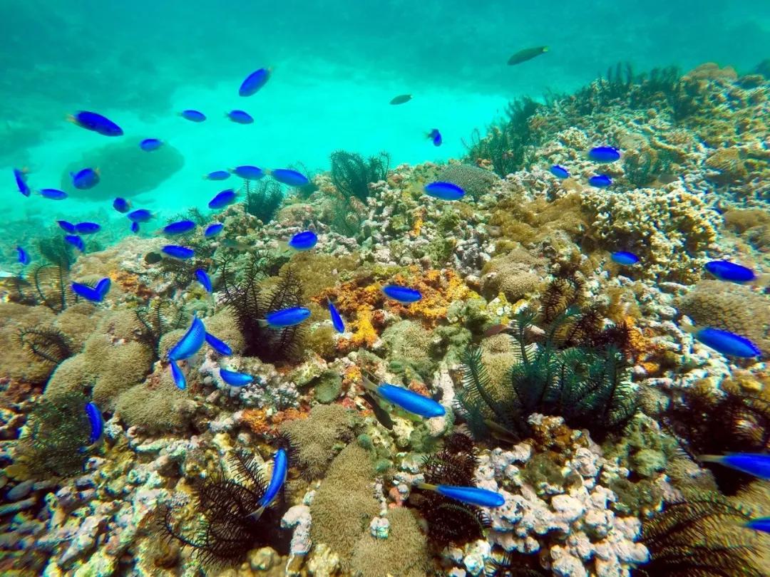 读书旅行看电影,读书与旅行的完美结合