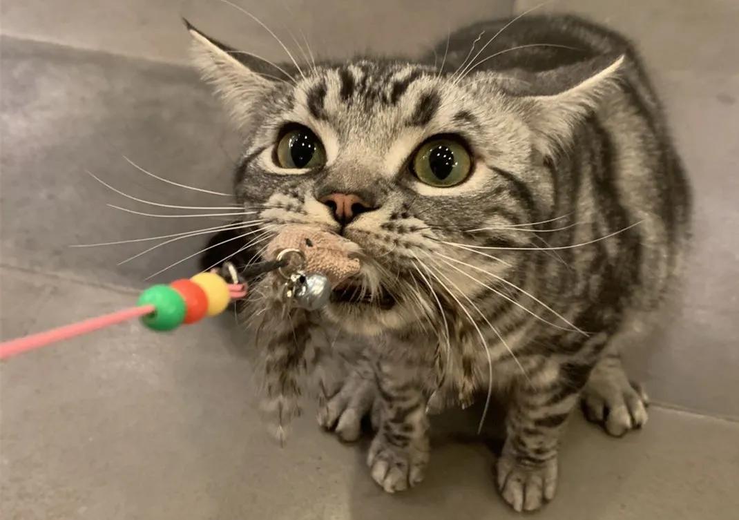 冯仑的恋爱史,冯仑谈孩子