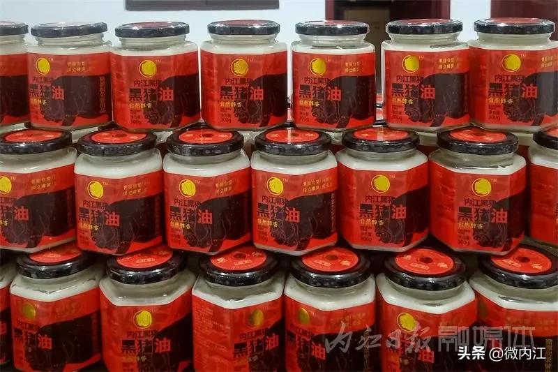 内江黑猪和乌金猪,内江黑猪跟太湖猪是一样吗