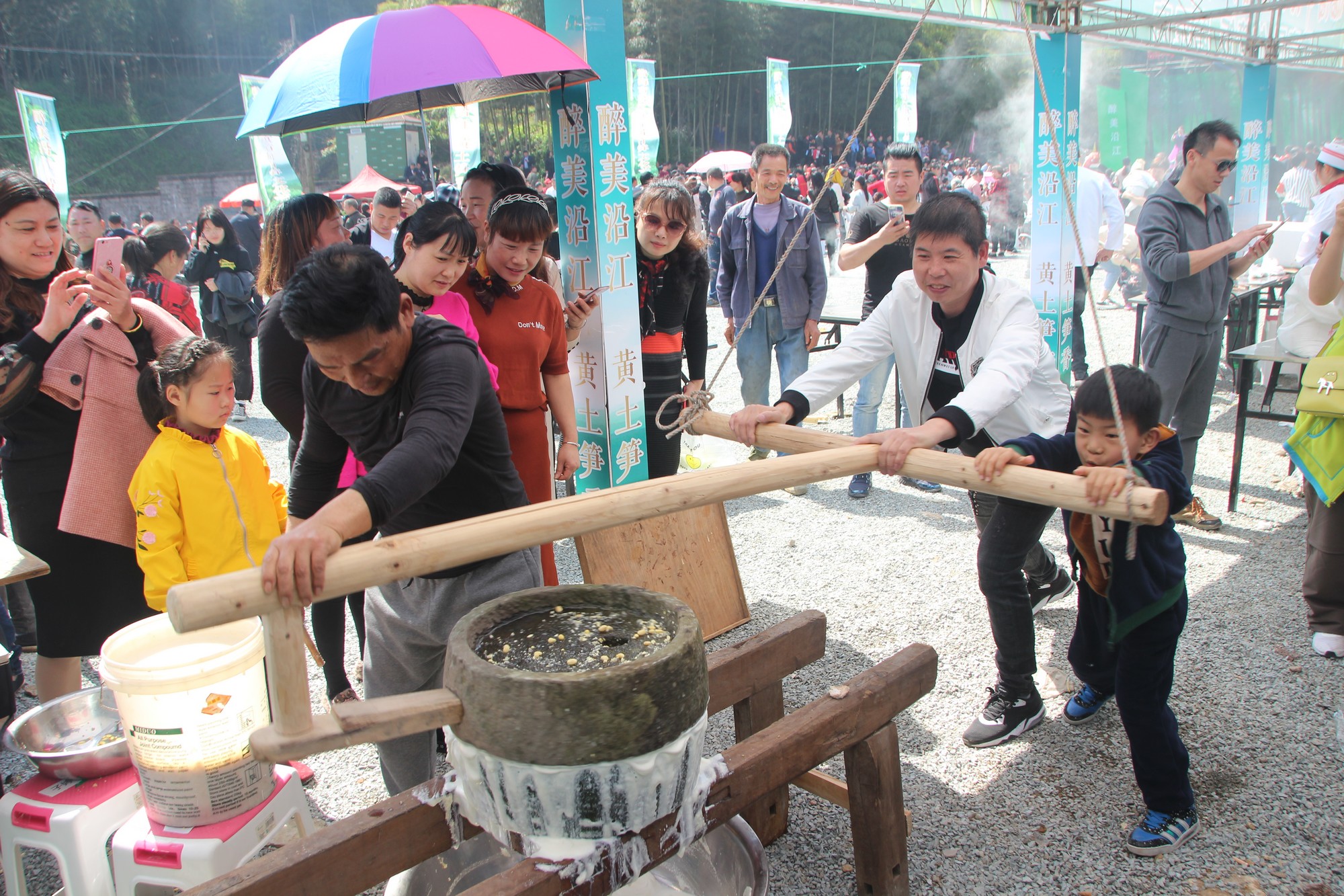 浙江临海沿江镇竹笋,临海市野生竹笋