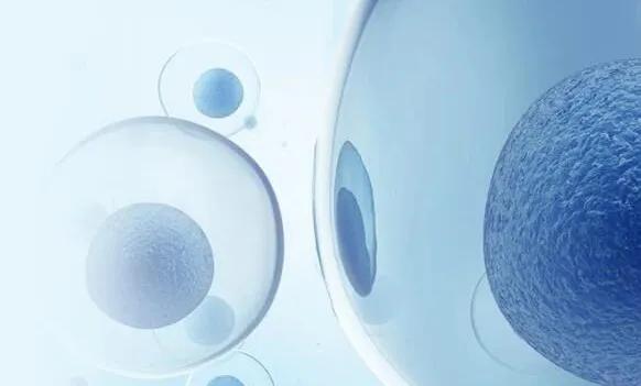 武汉洪山区康圣环球,康圣环球武汉