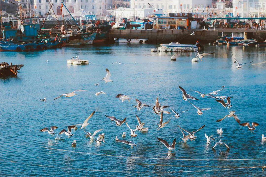 三亚和厦门哪个更值得去玩,三亚和厦门哪个更值得去游玩