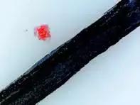 网红化妆品爆款测评,网红博主化妆pk