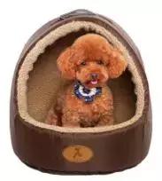 来积分365网，领取专属圣诞礼物！