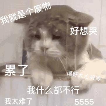 听完一建筑资质业务员的哭诉,我沉默了