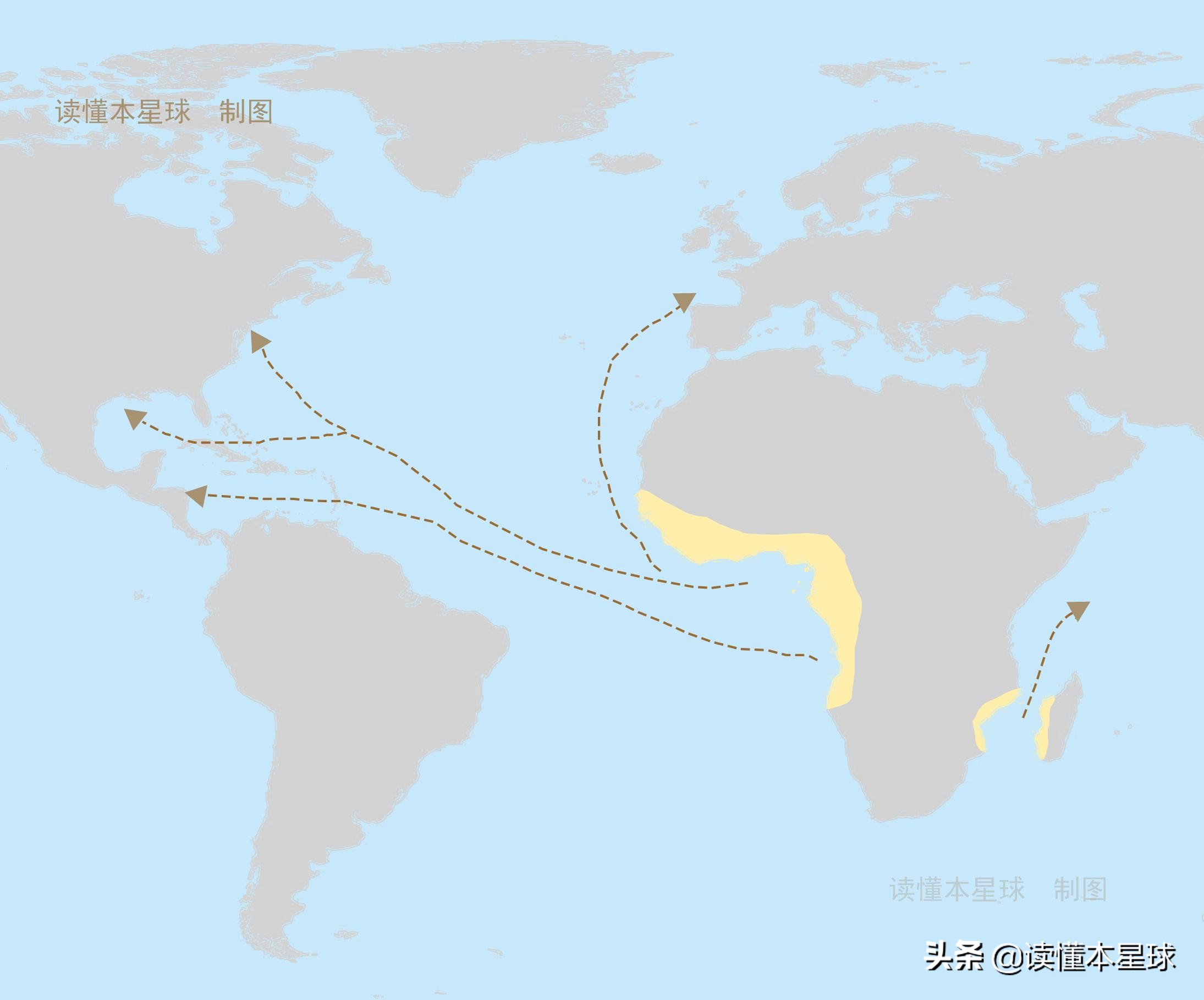 拉各斯是什么样的城市,拉各斯城市简介