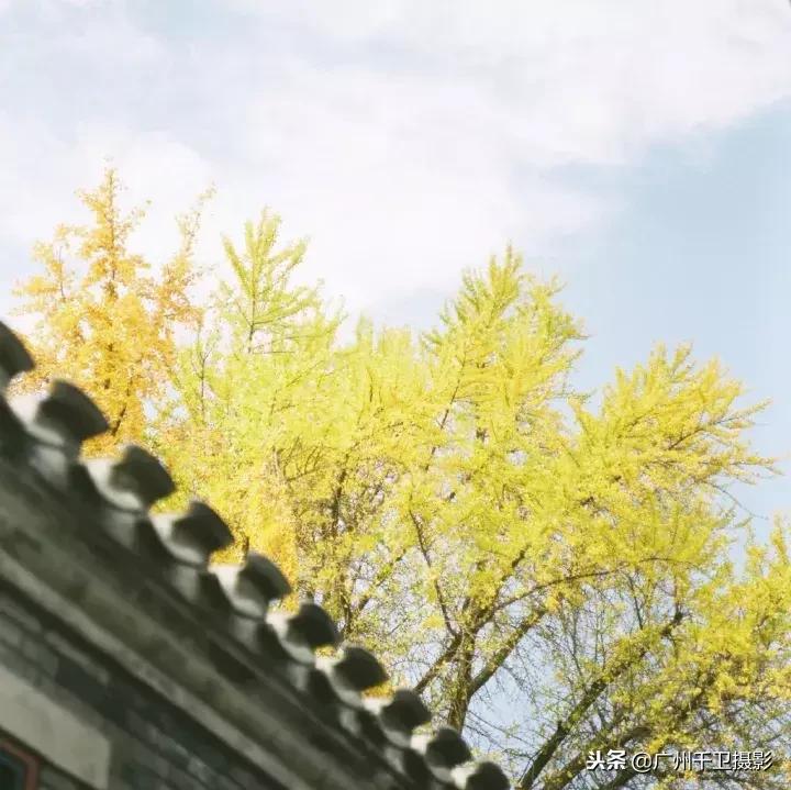 摄影必学的9种构图方法,摄影萌新必学12个构图技巧