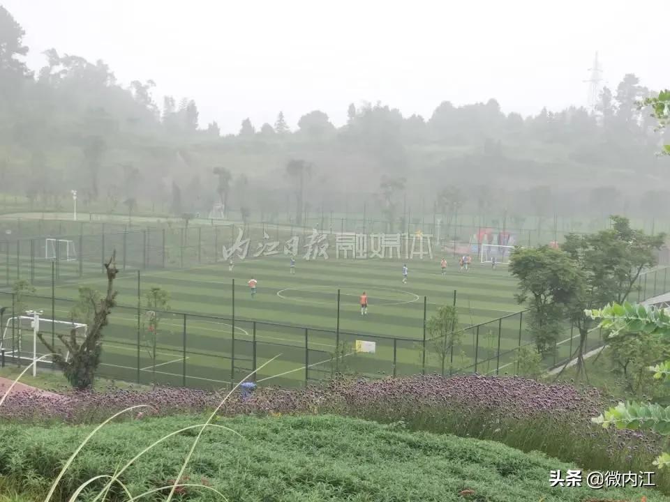 法兰克福威远足球青训中心,法兰克福足球青训学校