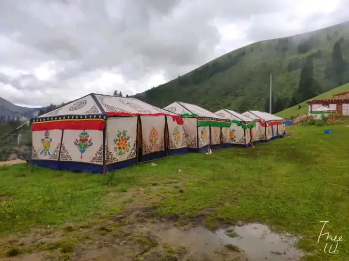 大学生去西藏支教的真实感受,真实的藏区支教