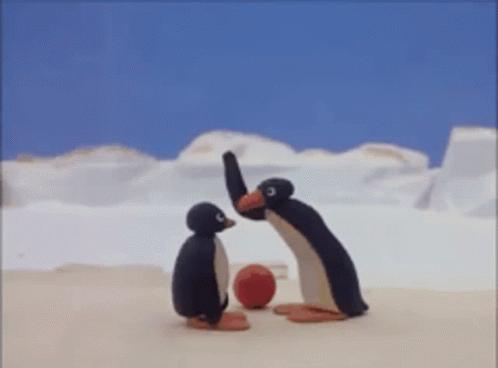 世界上最有诚信的企鹅,世界上最小的企鹅品种