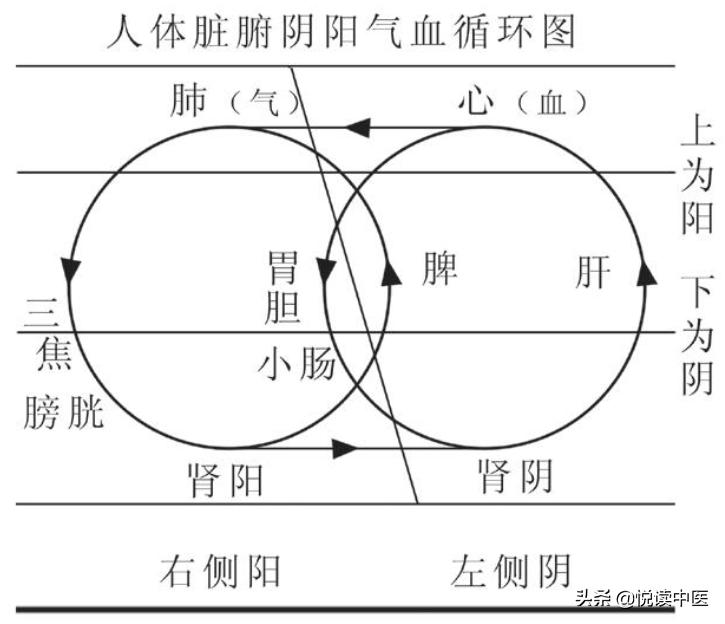 胆囊炎胆结石不能吃哪些食物,治疗胆囊炎胆结石的用药技巧
