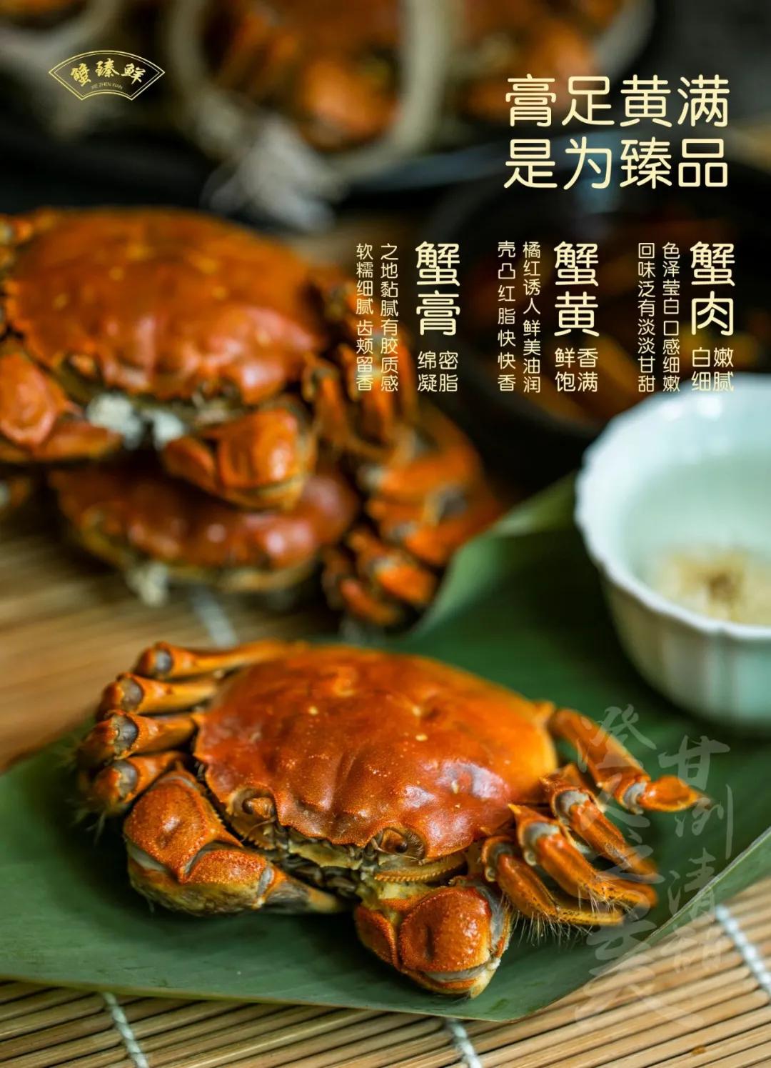 阳澄湖大闸蟹开湖活动,阳澄湖大闸蟹已进入最佳赏味期