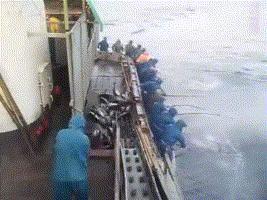 钓鱼的方法可以一秒钓到鱼,钓鱼变成荒野求生