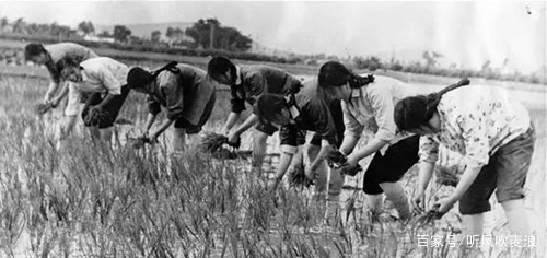 閬ヨ繙鐨勪埂鎰佸畬鏁寸増,琚北閲岀殑铓傝煡鍙簡
