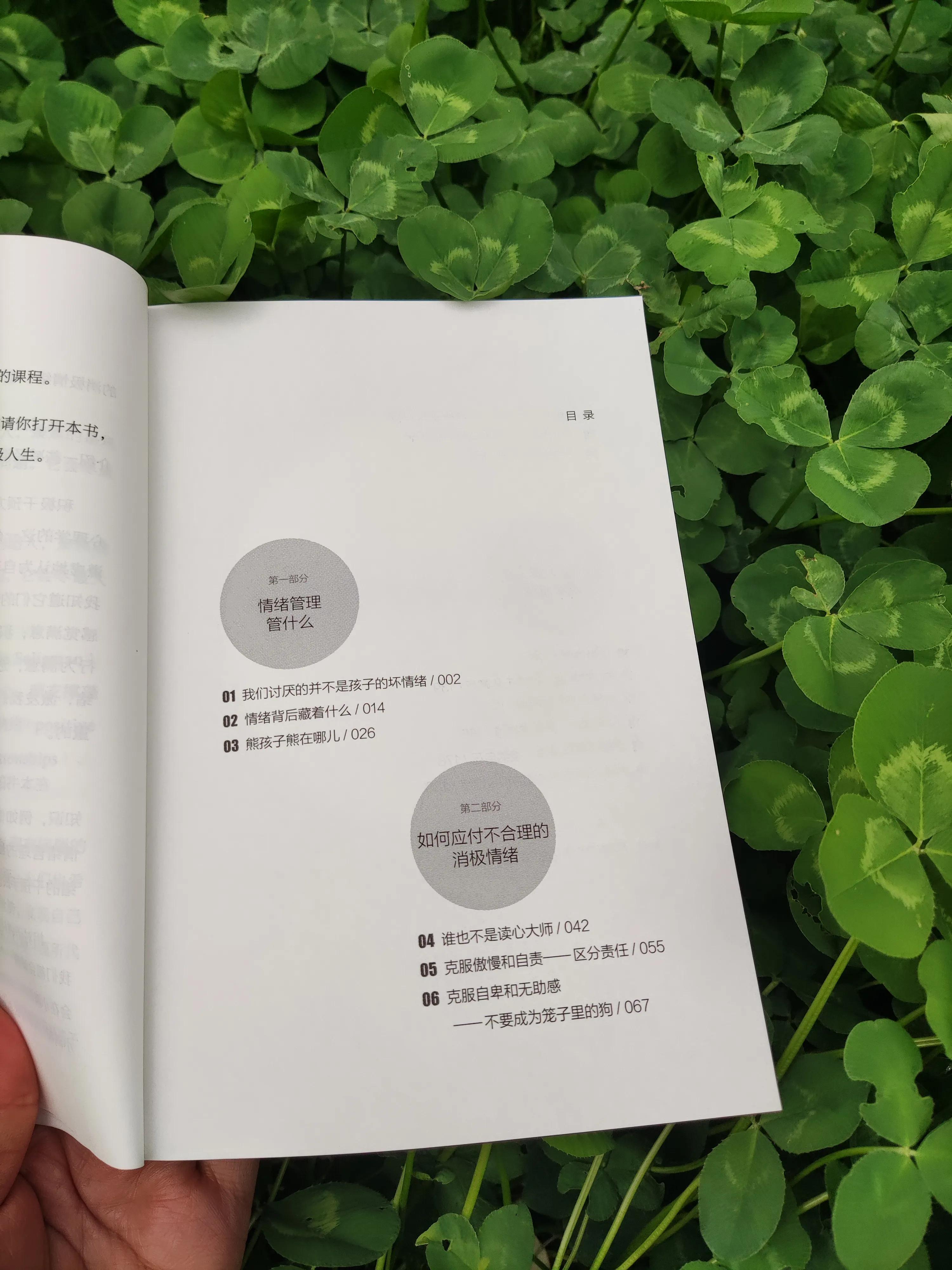 孩子爱发脾气如何正确引导,孩子爱发脾气怎么去引导