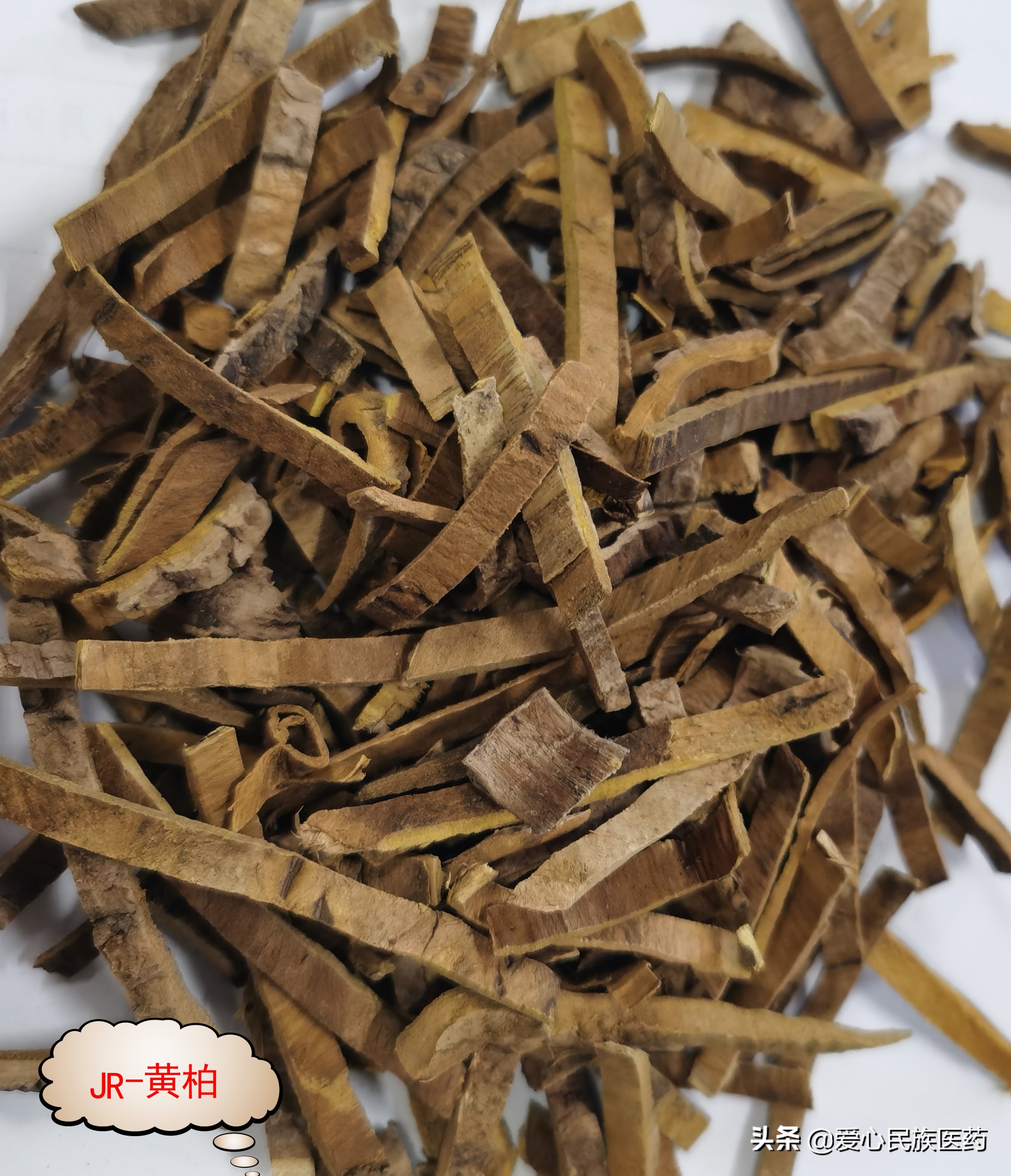 同名同姓一南一北的黄柏功效却有大不同