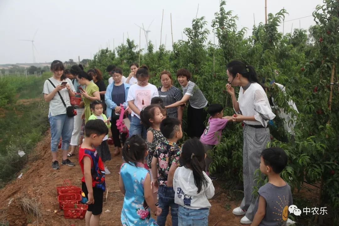 「运城日报」中农乐桃花源：“河东桃”的“大脑”