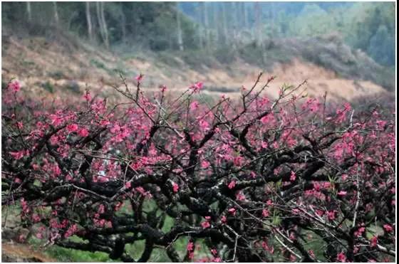 广东一路向南旅游攻略,一路向南探索异国风情