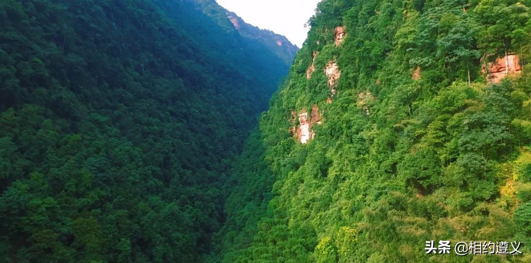 赤水大瀑布 侏罗纪公园 (贵州赤水侏罗纪公园攻略)