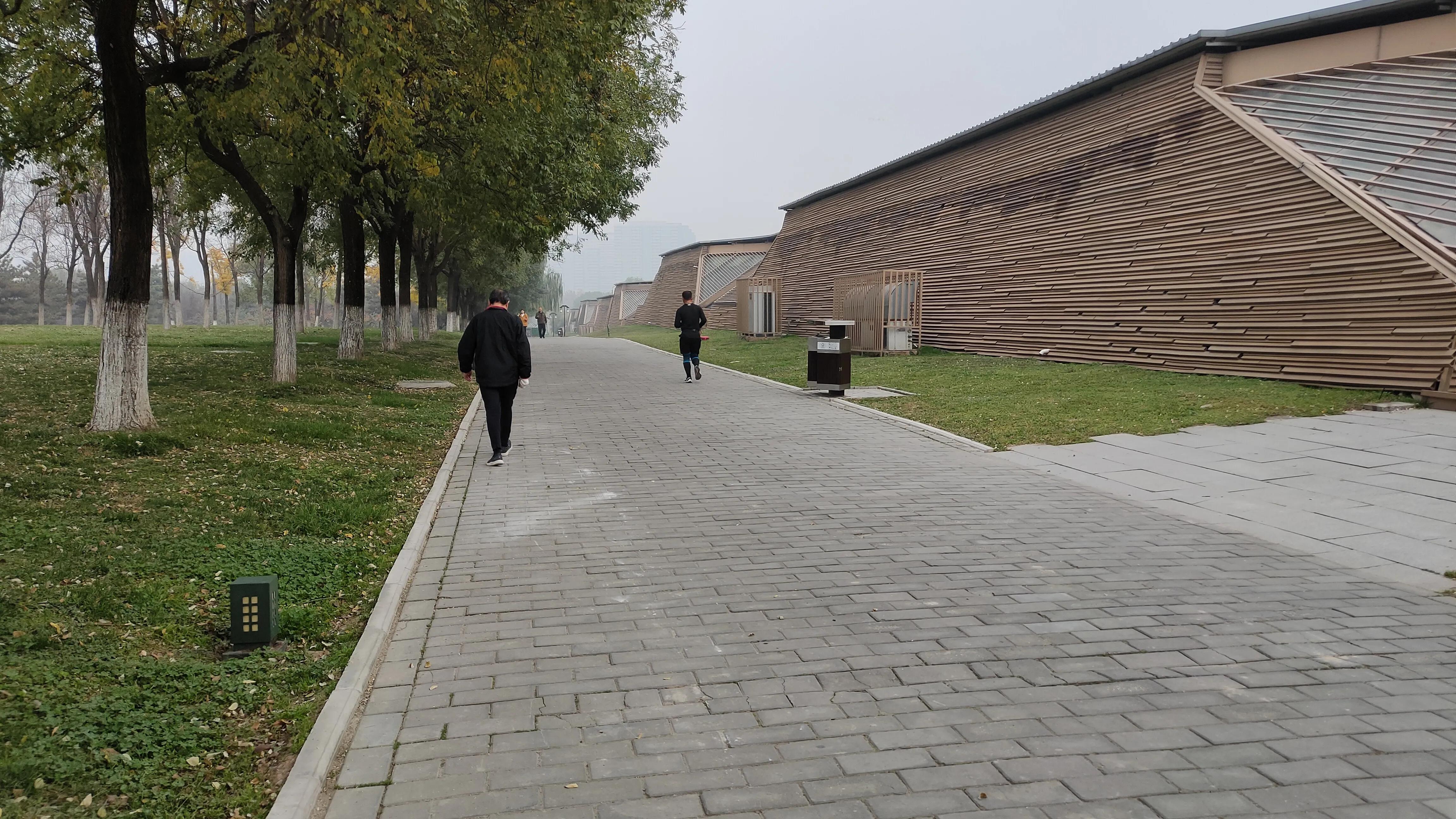 探寻西安大明宫国家遗址公园攻略,西安的大明宫遗址公园