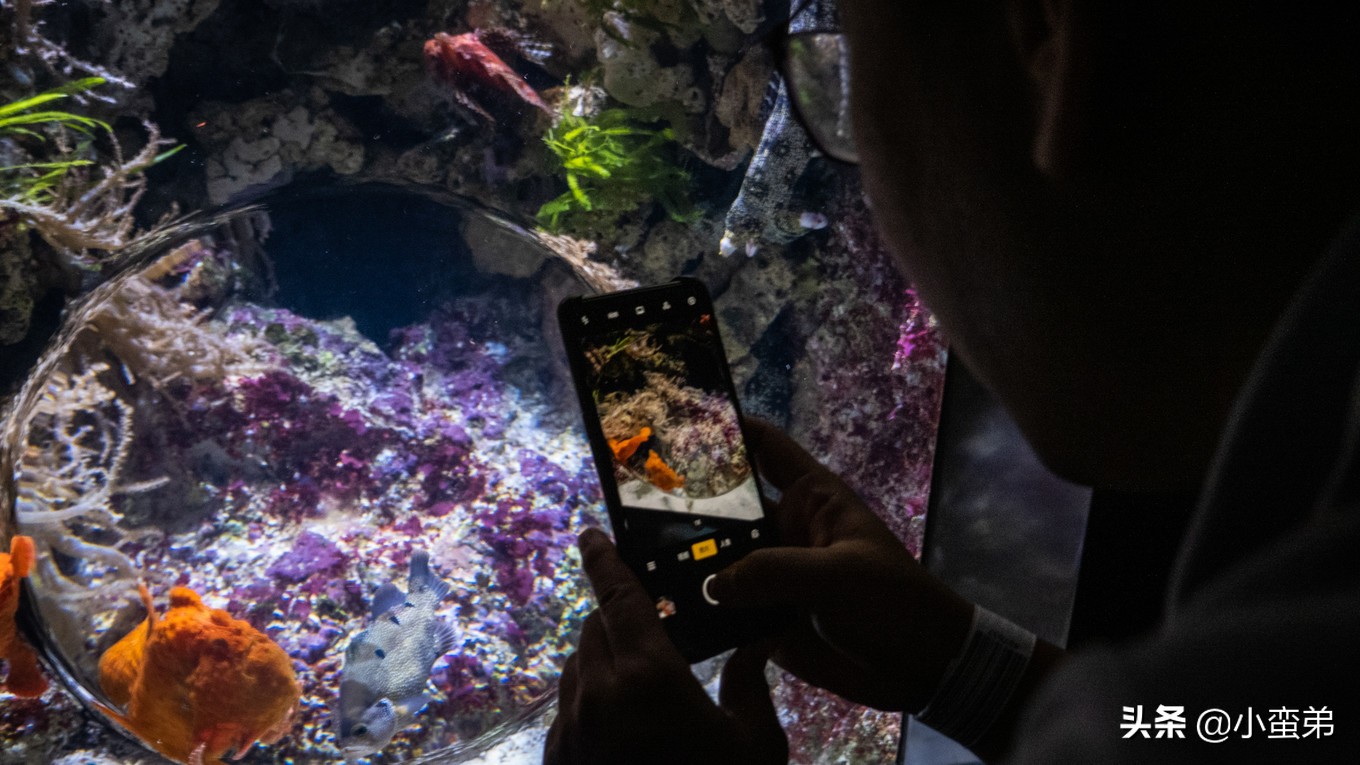 5年之许,小白逆袭重返新加坡