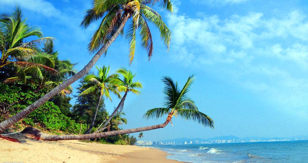 阿星自驾游环岛,阿星自驾环岛视频