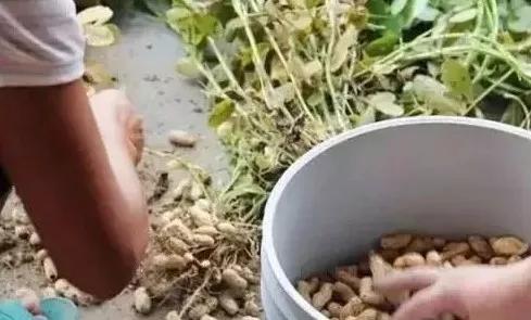 紧急提醒这些人务必第一时间就诊,紧急通知全员归队