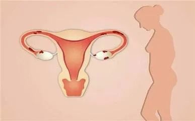 没有子宫的女人的特征,没有子宫的女人和正常人有何不同