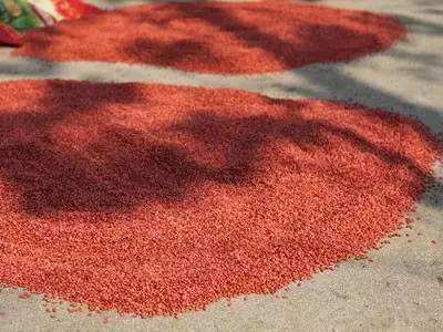 拌种剂总有效成分低好吗,拌种剂出了问题怎么处理